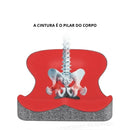 Almofada De Assento Ortopédico Com Espuma De Memória