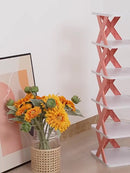 Sapateira Organizadora