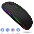Wireless Bluetooth Gamer Mouse with RGB LED | ME13 Rechargeable - Shopp All