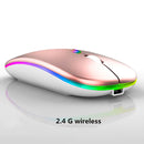 Wireless Bluetooth Gamer Mouse with RGB LED | ME13 Rechargeable - Shopp All
